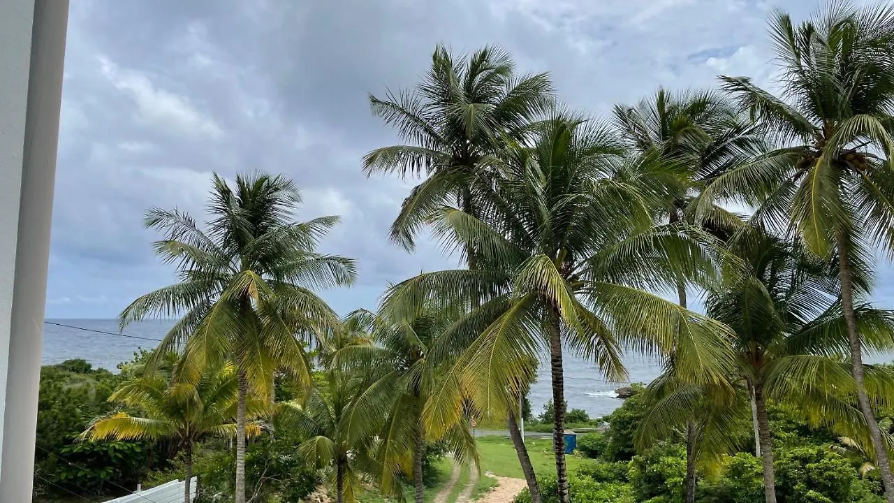 Le M Hotel Marie Galante Beauregard Guadalupe