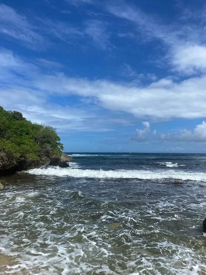 Le M Hotel Marie Galante Beauregard